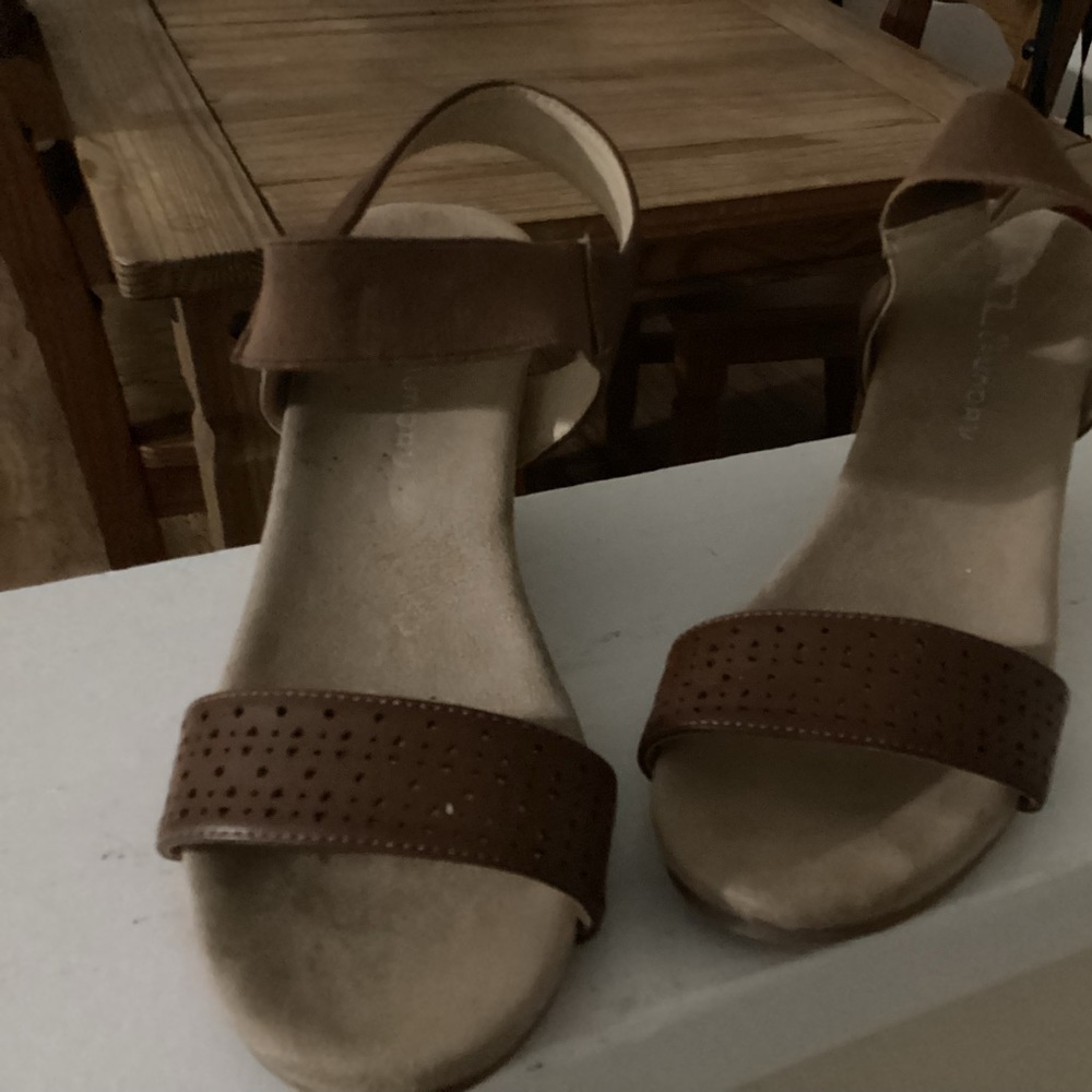Size 7 Rich Brown Platform Leather Sandals by CL Laundry Condition Slightly Worn